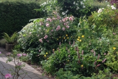 8618021E-02E1-4B27-AAD7-F3D1DCD68D84