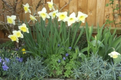 Frances-Garden-007