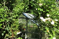 Frances-IMG_1784