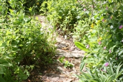 new-path-2020