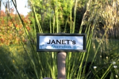 Janet and Roger 2020