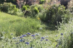 Janet_04_resize