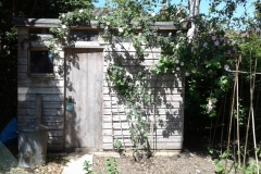 Shed-with-old-Roses