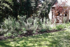 herbaceous-border