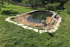 Pic3