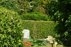 GARDEN-12