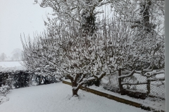 1-December