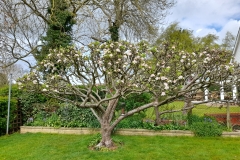 3-May