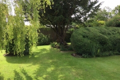 Pic11