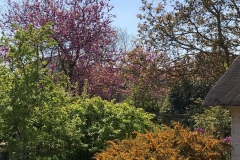 Pic3