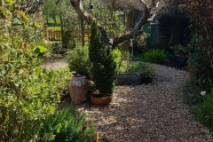 Pic5