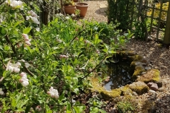 Pic6